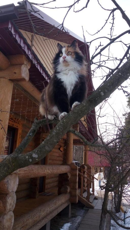 Agrousad'Ba Okolitsa Hotell Shchibri Exteriör bild